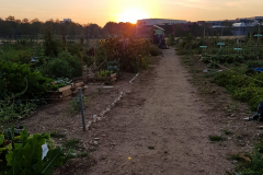 20190725_055805-2-scaled