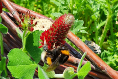 20200516_124818-scaled