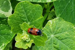 20200618_135735-scaled