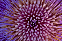 3-scaled